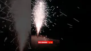 fire crackers 😋😂🔥🥵 🪔 ||celebration Diwali with brothers♥️||#shorts #diwali #diwalispecial #prayagraj