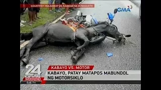 24 Oras: Kabayo, patay matapos mabundol ng motorsiklo