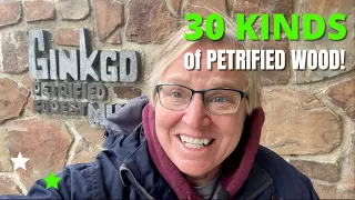 30 KINDS of PETRIFIED WOOD! Visiting Washington's Gingko Petrified Forest