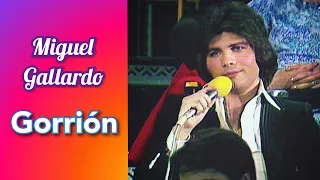 Miguel Gallardo - Gorrión - Dos por Dos/1978