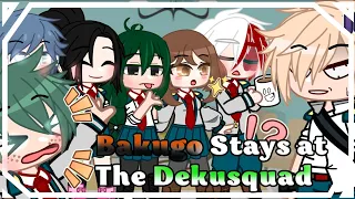 Bakugo stays at the Dekusquad! [BkDk/DkBk] [original? ] [•butterfly• ]