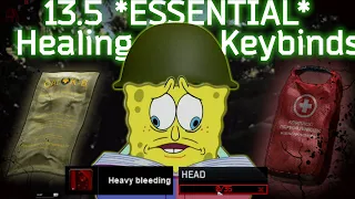 *NEW* Healing Keybinds for Tarkov Patch 13.5
