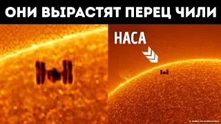 Уникальное фото МКС, пролетающей на фоне солнца