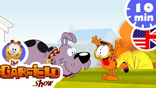 Garfield has fun with other animals - New Selection