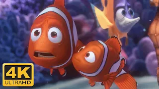 Finding Nemo (2003) Nemos First Day at School, Nemo goes to School (Remastered 4K 60FPS)