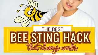 BEE Sting Instant Remedy That Works Every Time! Even in the Wild!