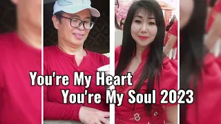 You're My Heart You're My Soul - COMPILATION Line dance