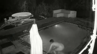 Alligator Attacks Couple In Swimming Pool (Security Cam Footage)