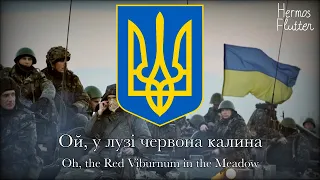 Ukrainian Patriotic Song - Oh, the Red Viburnum in the Meadow / Ой, у лузі червона калина (Lyrics)