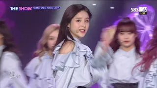190226 SBS MTV The Show  LOONA  Butterfly  SEXY KPOP