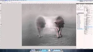 Wolf Photoshop Time Lapse Part 2