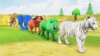 paint animal cartoon video tiger, elephant,cow,lion cartoon video