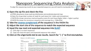 Nanopore sequencing - sample prep and analysis