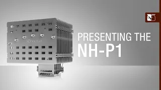 Introducing the NH-P1 Passive CPU Cooler