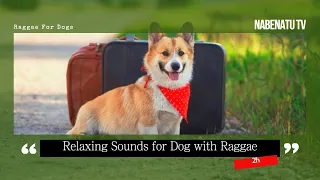 [Playlist for Dog] Reggae music for dogs and nature sounds for 2 hours