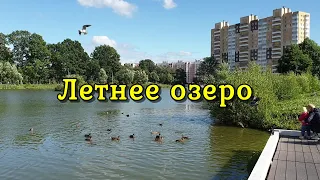 Калининград, Летнее озеро/ лето 2020