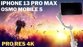 IPHONE 13 PRO MAX - ProRes 4k  WITH FILMIC PRO - NATURE COLORS