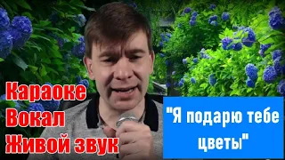 Прянов, я подарю тебе цветы. Весёлая песня про любовь. Караоке.