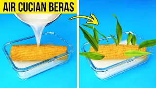 CARA BERCOCOK TANAM DI RUMAH || KIAT BERKEBUN UNTUK MUSIM PANAS