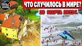 Катаклизмы за день 20 МАРТА 2022! Пульс Земли! #flooding #снегопад катаклизмы сегодня наводнение