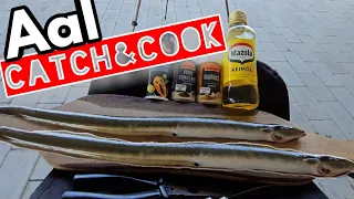 Aal Catch&Cook angeln auf Aal über Tag und übetribene Sommer Vibes #aal  #eel #angeln #fishingS8 F10