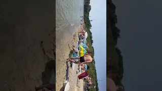 Бесплатно Собачий пляж в Одессе. Прозрачная вода