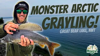 UNBELIEVABLE Arctic Grayling Fishing! | Great Bear Lake, NWT | 40+ Fish in one day!