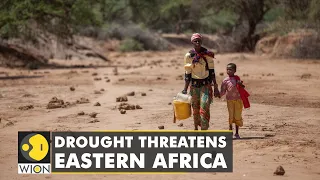 Drought worsens livelihood in East Africa as 13 mn people face hunger | WION Climate Tracker | News