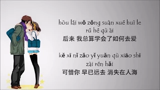 Hou Lai 后来 - Rene Liu 刘若英 - Lyric Pin Yin