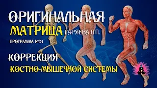 "Коррекция костной системы" Программа №2 1 ⚠️ Оригинальная матрица Гаряева П.П ☀️ SoftRadio.ru