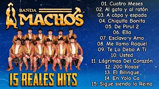 Banda Machos - Puras Rancheras | Los Éxitos Dorados de Banda Machos (15 Reales Hits)