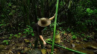 Wander in search of wild food, Create a bamboo hammock: Survival Alone | EP.163