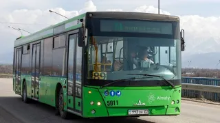 Алматы.МАЗ 203.069 2018 г.в, 89 маршрут, БН 5011