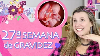 27ª SEMANA DE GESTAÇÃO | 7 Meses, Como está o bebê, Riscos Pré-eclâmpsia | 3º TRIMESTRE DE GRAVIDEZ