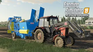 FS19 Timelapse #11 Уборка картофеля МТЗ-82, МТЗ-892, ГАЗ-53, ANNA z664, GRIMME