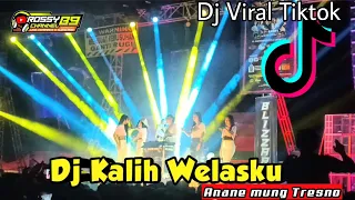 Dj Kalih Welasku Denny Caknan ( Anane Mung Tresno ) Viral Tiktok