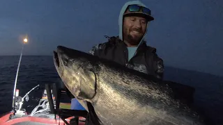 King Salmon Fishing SALMON-A-RAMA!!!