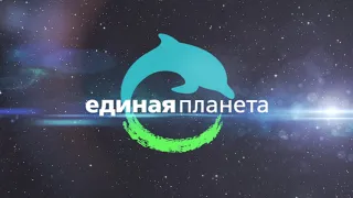 Шоу "Единая планета", клип. Одесский дельфинарий НЕМО