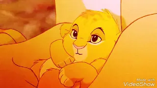 Simba x Kiara