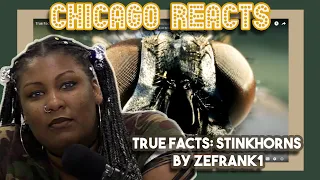 True Facts Stinkhorns by zefrank1 | First Time Reaction
