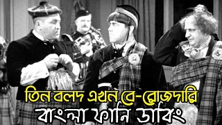 Three Stooges Berojdari | Bangla Funny Dubbing | Bangla Funny Video | Khamoka tv