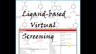 Ligand-based Virtual Screening & ADME Profile