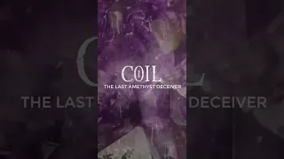 LACOLPA "The Last Amethyst Deceiver" (COIL cover) Visualizer