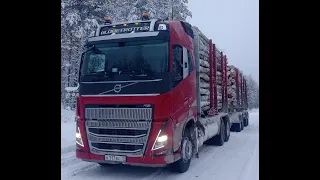 Лесовозы Вольво на новой делянки. Никогда такова не было и тут опять...