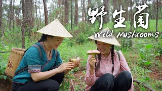 Wild Mushrooms - A pot of Indispensable Freshness  for Yunnan People in Summer