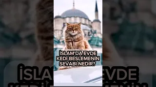 İslam'da evde kedi beslemenin sevabı nedir #kediler #catsoftiktok #cats #kedi #kesfet #kesfetteyiz