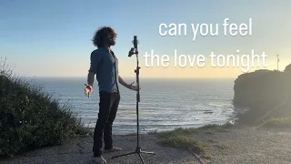 can you feel the love tonight [bass vocalist cover]