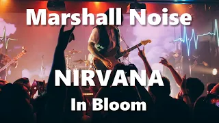 New Wave Guitar Backing Tracks & Karaoke   Nirvana - In Bloom