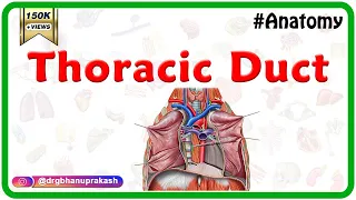 Thoracic duct - Anatomy, Course ,Relations ,Tributaries,and Clinical Significance