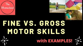 What are fine motor and gross motor skills?what's the difference between fine & gross motor skills?